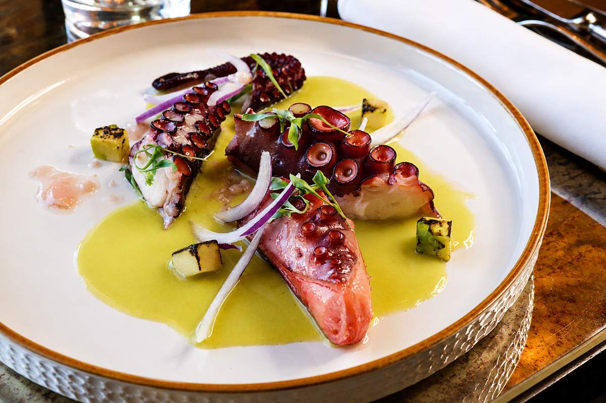 Pulpo asado con gazpacho de tomate verde y maíz tostado, servido en Papagena